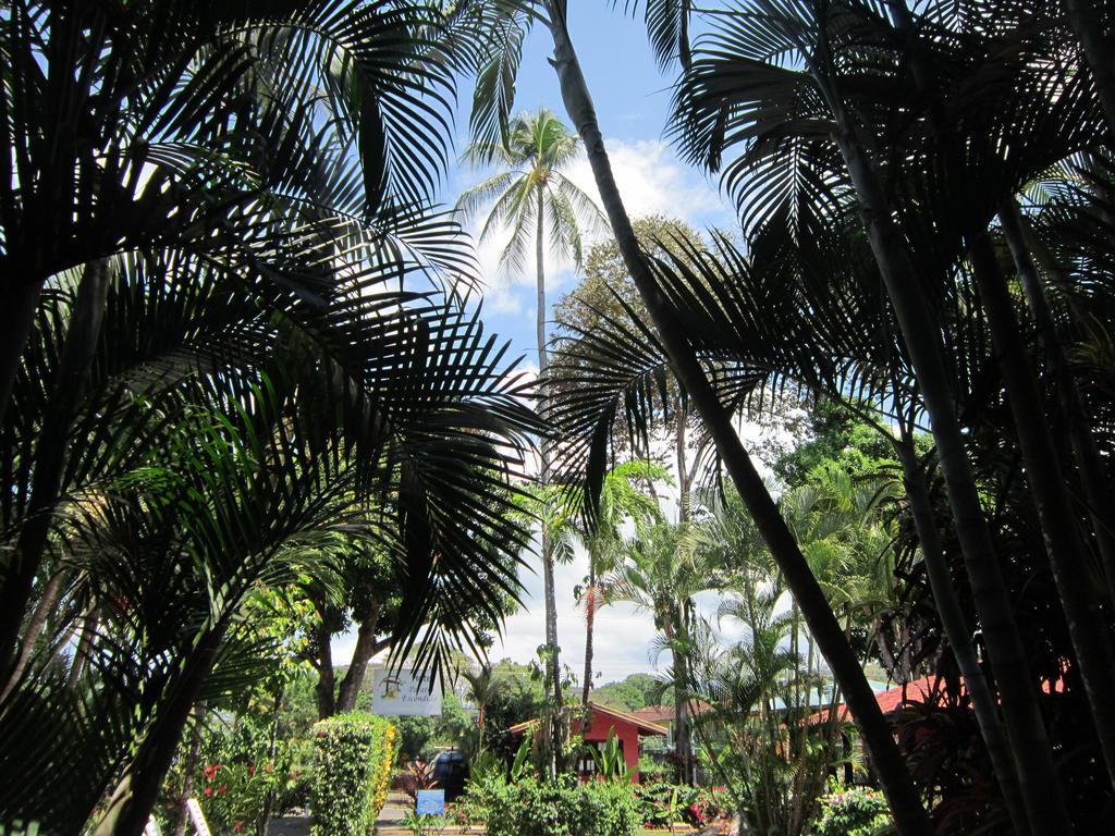 Hotel El Paraiso Escondido - Costa Rica Jacó Exterior foto