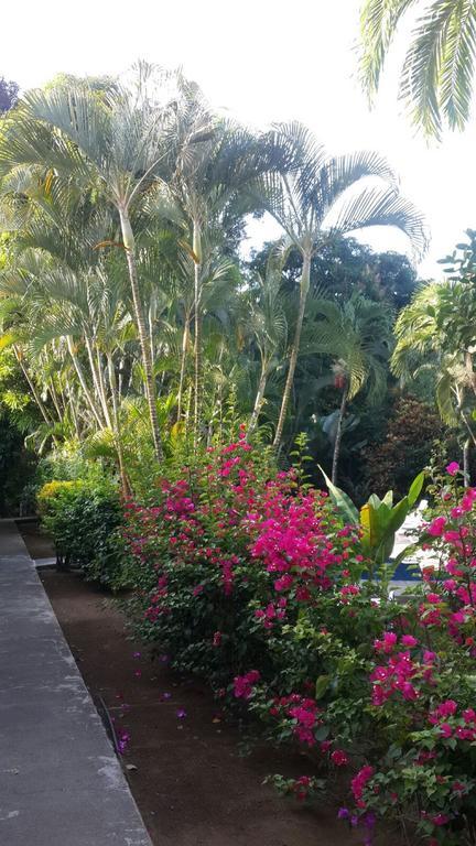 Hotel El Paraiso Escondido - Costa Rica Jacó Exterior foto