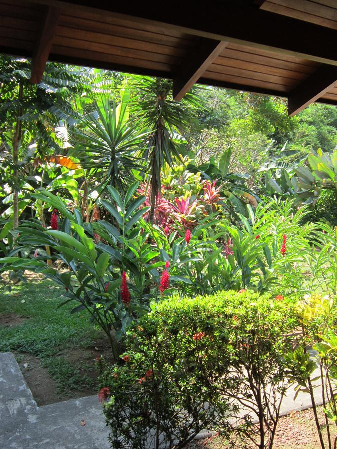 Hotel El Paraiso Escondido - Costa Rica Jacó Exterior foto